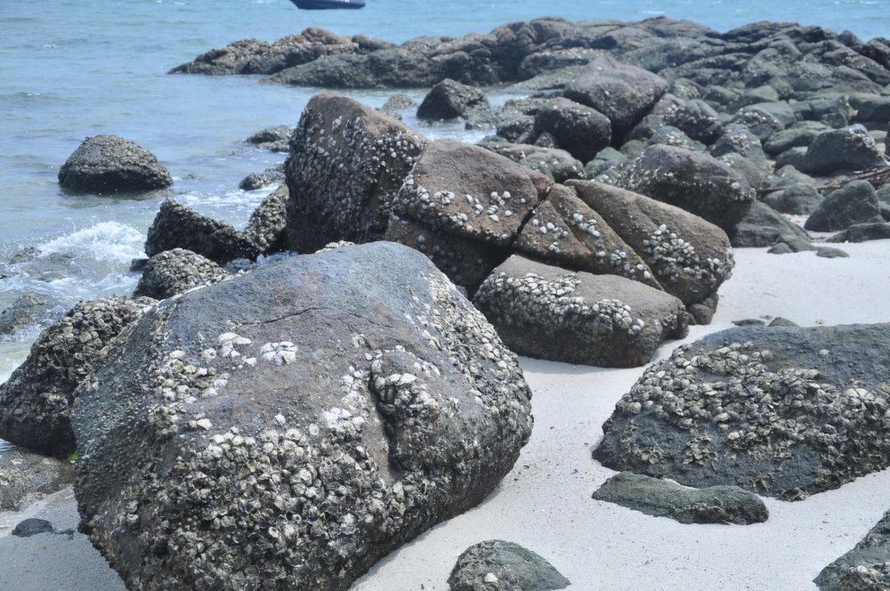 Pangkor Lot 10 Vacation Studio パンコール エクステリア 写真