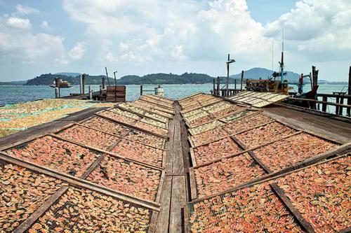 Pangkor Lot 10 Vacation Studio パンコール エクステリア 写真